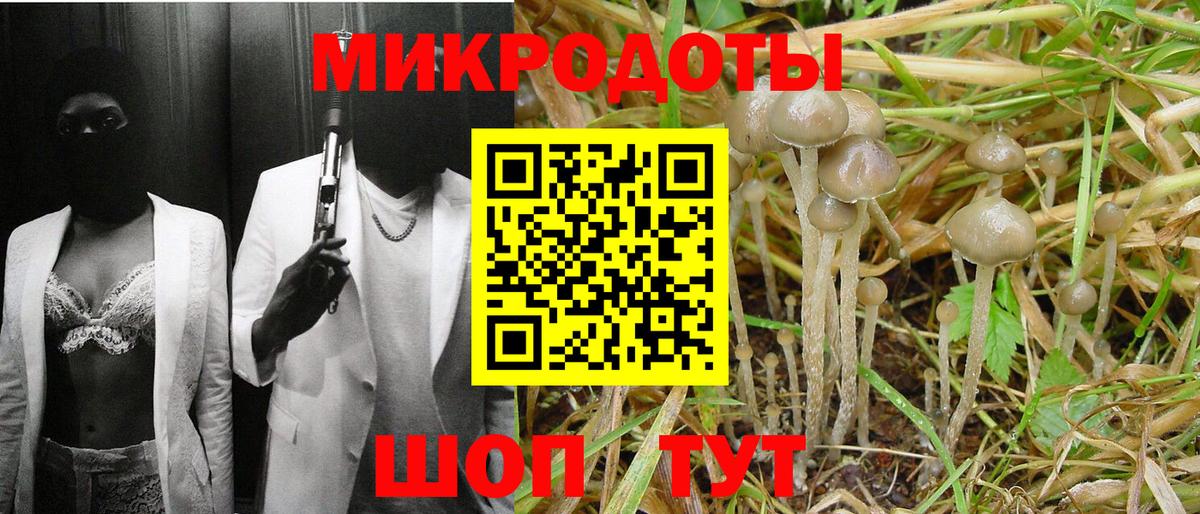 Владивосток  Псилоцибиновые грибы Cubensis  Вход с VPN 