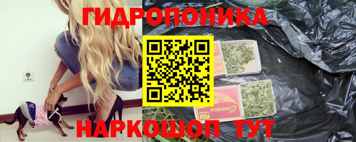 МАРИХУАНА сатива  Шишки марихуана планчик  Вход с VPN  Владивосток  Каннабис конопля 
